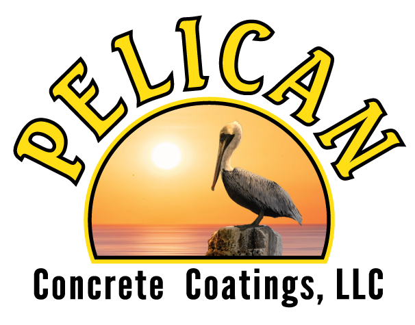 Head of a Pelican